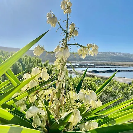 Nyaraló Herdade D' Amoreira