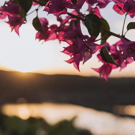 Herdade D' Amoreira Dom wakacyjny *