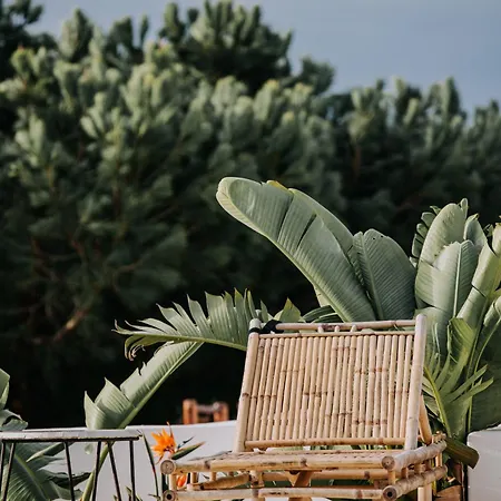 Dom wakacyjny Herdade D' Amoreira