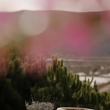 Dom wakacyjny Herdade D' Amoreira