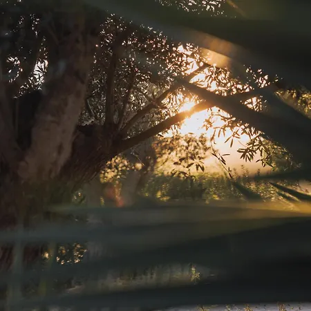 Herdade D' Amoreira Dom wakacyjny