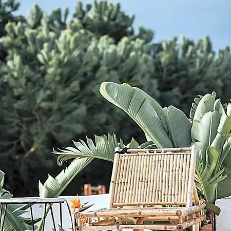 펜션 Herdade D' Amoreira
