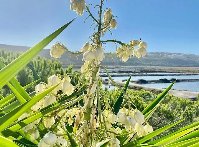 펜션 Herdade D' Amoreira