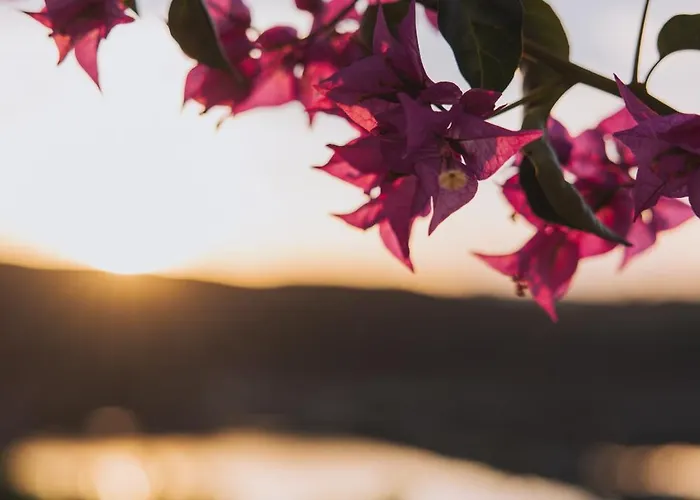 Herdade D' Amoreira Nyaraló *