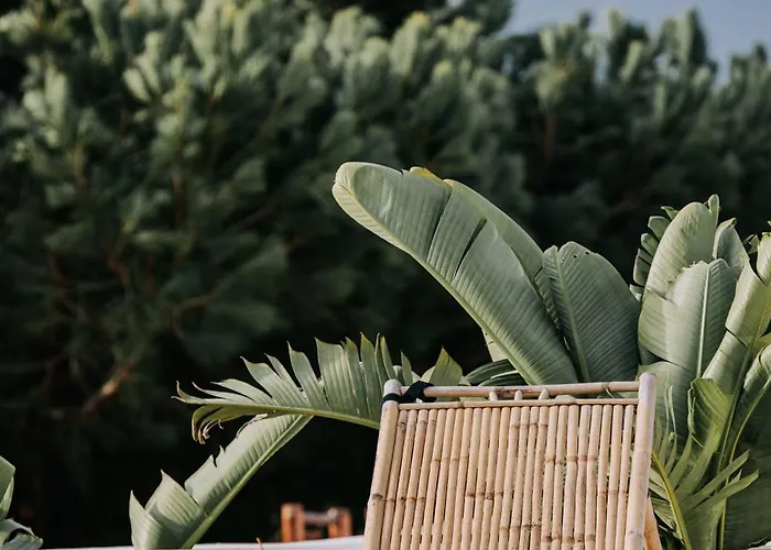 Nyaraló Herdade D' Amoreira