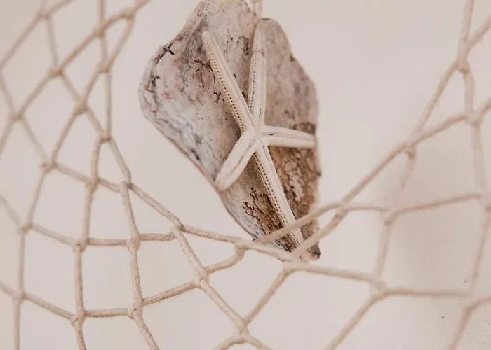 펜션 Herdade D' Amoreira *