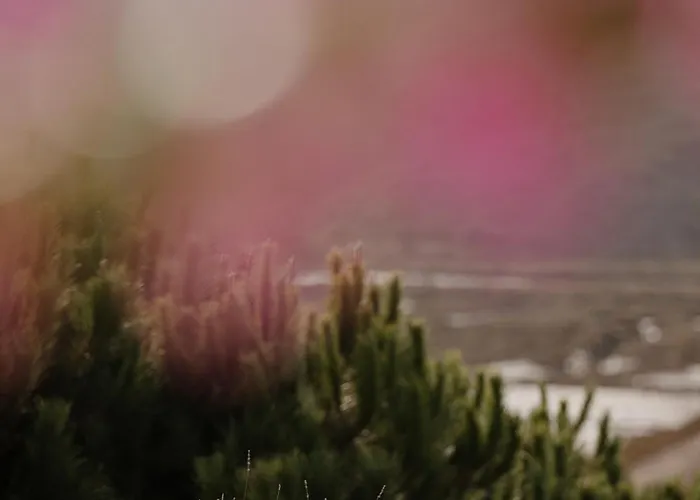 펜션 Herdade D' Amoreira