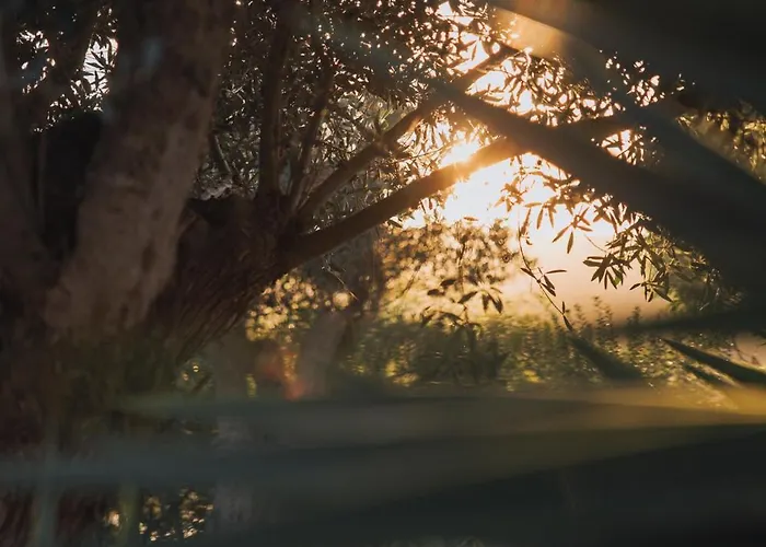 Herdade D' Amoreira Nyaraló