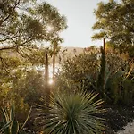 Herdade D' Amoreira